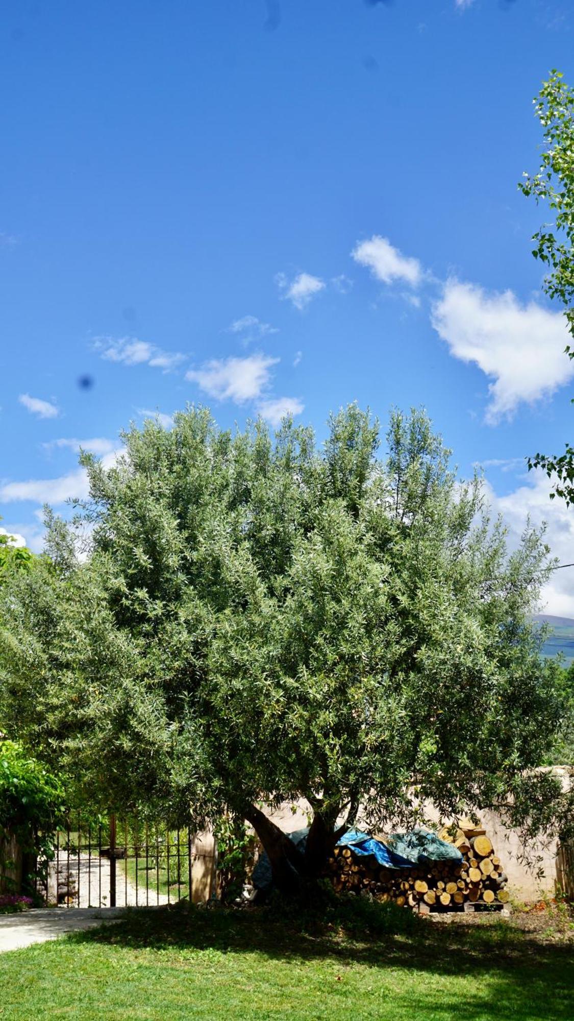 La Belle Histoire Gite Luberon 베두엥 외부 사진