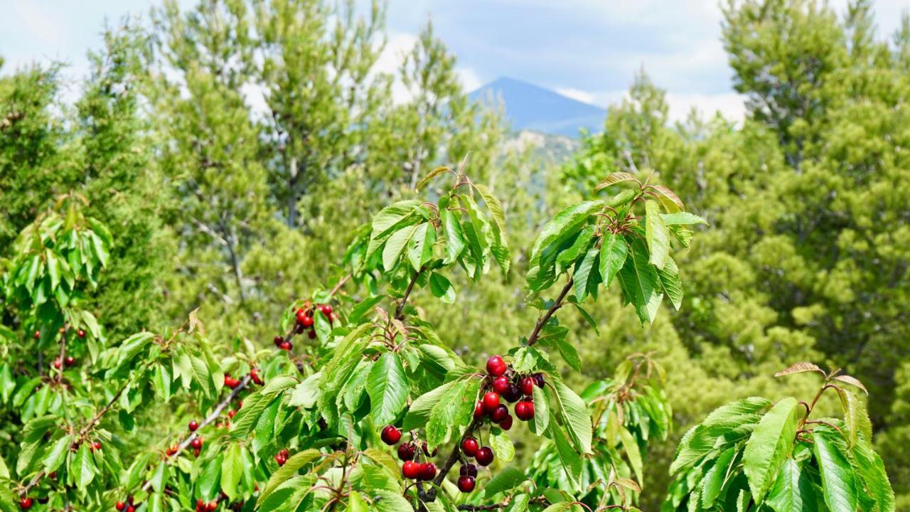 La Belle Histoire Gite Luberon 베두엥 외부 사진